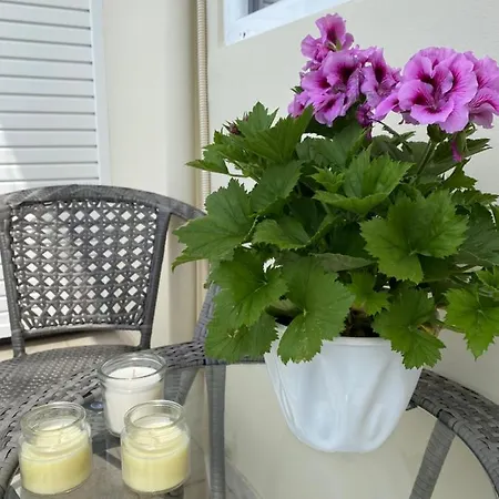 Camelia Luxury Appartamento Karystos (Evia)